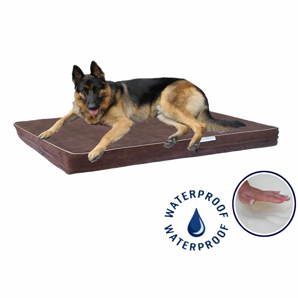 Go Pet Club Solid Memory Foam Orthopedic Mattress Dog Bed with Waterproof Cover, BB-44