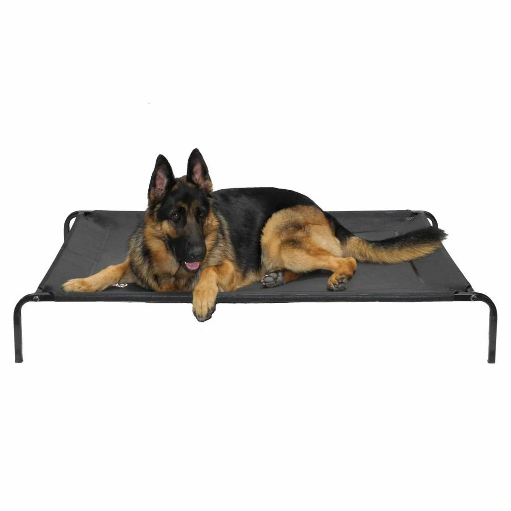 Go Pet Club Elevated Cot Bed, 42 in.